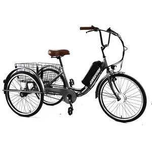 Bicicleta eléctrica de carga de 24 pulgadas 36V 250W bicicleta eléctrica