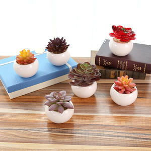 Miniplantas suculentas artificiales surtidos, con macetas para decoración del hogar, planta de aloe <span class=keywords><strong>vera</strong></span> artificial para interior, <span class=keywords><strong>en</strong></span> macetas de cerámica - Product Image 2