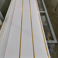 Paneles y Placas de Techo de PVC Blancos Comunes con Dos Ranuras y Líneas Doradas Impresas