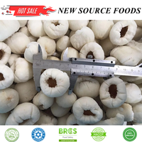 Frozen Lychee Premium Kwaliteit-Ideaal Voor Importeurs En Groothandels, Verse Smaak Lychee Fruit