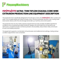 Ligne d'extrusion PTFE Pinyang, extrudeuse de fil PTFE haute vitesse pour la production de câbles électriques haute température