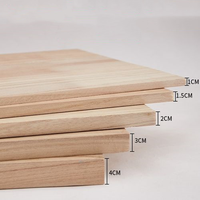 Tablero de madera Pawlonia de estilo moderno de 2440x1220mm de hermosa calidad para deportes acuáticos del Reino Unido para Decoración