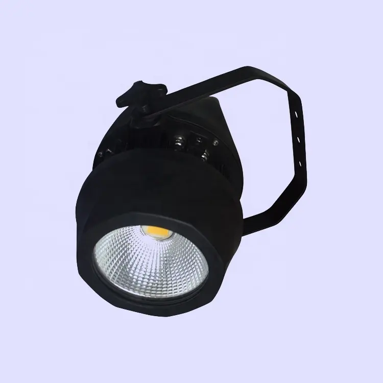 Pulse strobe 200w outdoor Cool White Warm White CW/WW COB LED Waterproof par light stage light