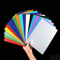 Panneaux en plastique PP PET PVC de couleur unie, taille standard, opaques, coupés proprement, pour armoires de cuisine