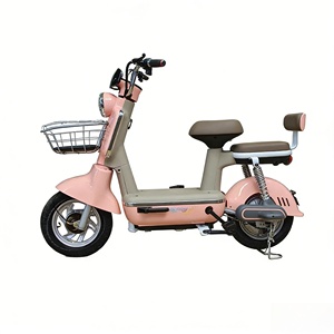 Tricycle à trois roues pour adultes, vélo de ville, 48V, 3 vitesses, cadre en acier, moteur sans balais, écran numérique - Product Image 1