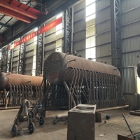 Chaudière à vapeur biomasse à grille à chaînes à tubes de fumée série DZL à économie d'énergie pour le chauffage de production en usine chimique