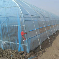 Serre tunnel d'élevage galvanisé à chaud Poulets et canards d'élevage Utilisation pour la volaille Fermes