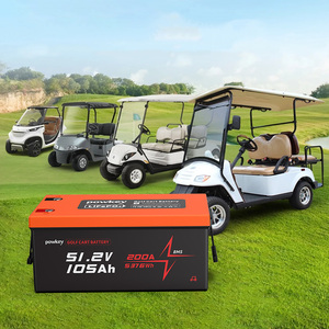 Batería para Carro de Golf de 48V 100Ah de Ciclo Profundo Recargable con Voltaje y Capacidad Personalizados - Product Image 3