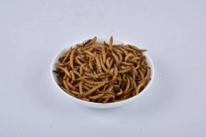 100% pur naturel séché vers de farine Yee poisson nourriture en vrac en gros pour oiseaux poisson chevaux cochons chiens petit aliment pour animaux de compagnie - Product Image 3