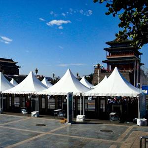 Tente pagode 3m 4m 5m 6m pour mariage, événement, fête, exposition, <span class=keywords><strong>jardin</strong></span> à louer, taille Offre Spéciale d'usine <span class=keywords><strong>de</strong></span> marque WT - Product Image 5