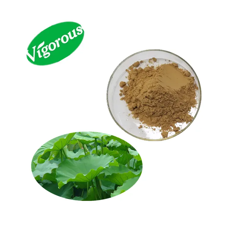 ธรรมชาติLotus Leaf Extract Powder 50% Nuciferine