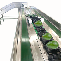 Oranje Macadamia Kiwi Kersen Fruit Groente PLC Gecontroleerde Fruitverwerkingsinstallatie Sorteermachine