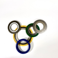 Joints d'étanchéité à bride de taille standard ASME B16.20, joints métalliques enroulés en spirale