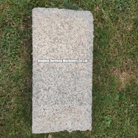 QT6-15 600x200x200mm Briques de Verrouillage Solide Chaux Chanvre Blocs de Béton Machine en France