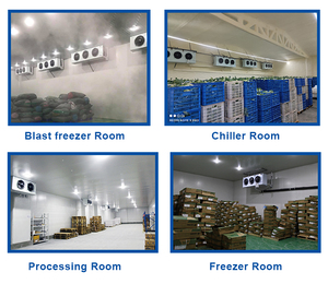 Meluck dễ dàng để hoạt động lạnh Hệ thống làm mát phòng lạnh cho cá - Product Image 3