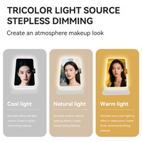 Miroir de maquillage LED portable, pliable et rechargeable, avec étui en cuir de bureau et cadre en plastique