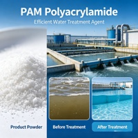 Vente Chaude Usine Chinoise Agent Chimique Auxiliaire Poudre de Polyacrylamide Anionique APAM pour l'Impression et la Teinture