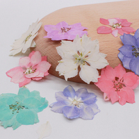 12 Pezzi/Sacchetto Fiori di Delphinium Pressati per Candele e Saponi Fai-da-Te, Fiori Naturali Essiccati Ecologici