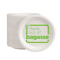 Food Grade Sugarcane Bagasse Disposable White Plates
