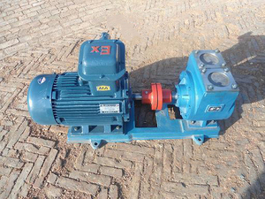Pompe à vis à palettes coulissantes Factory 50 Ypb en fonte, à faible bruit et pour huile de lubrification - Product Image 6