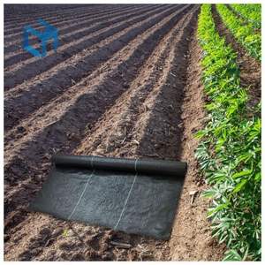100gsm Mauvaises Herbes Membrane <span class=keywords><strong>Couvre</strong></span>-<span class=keywords><strong>sol</strong></span> Agriculture En Gros Plante Géotextile Tissu Usine Vente Directe Vente Chaude - Product Image 4