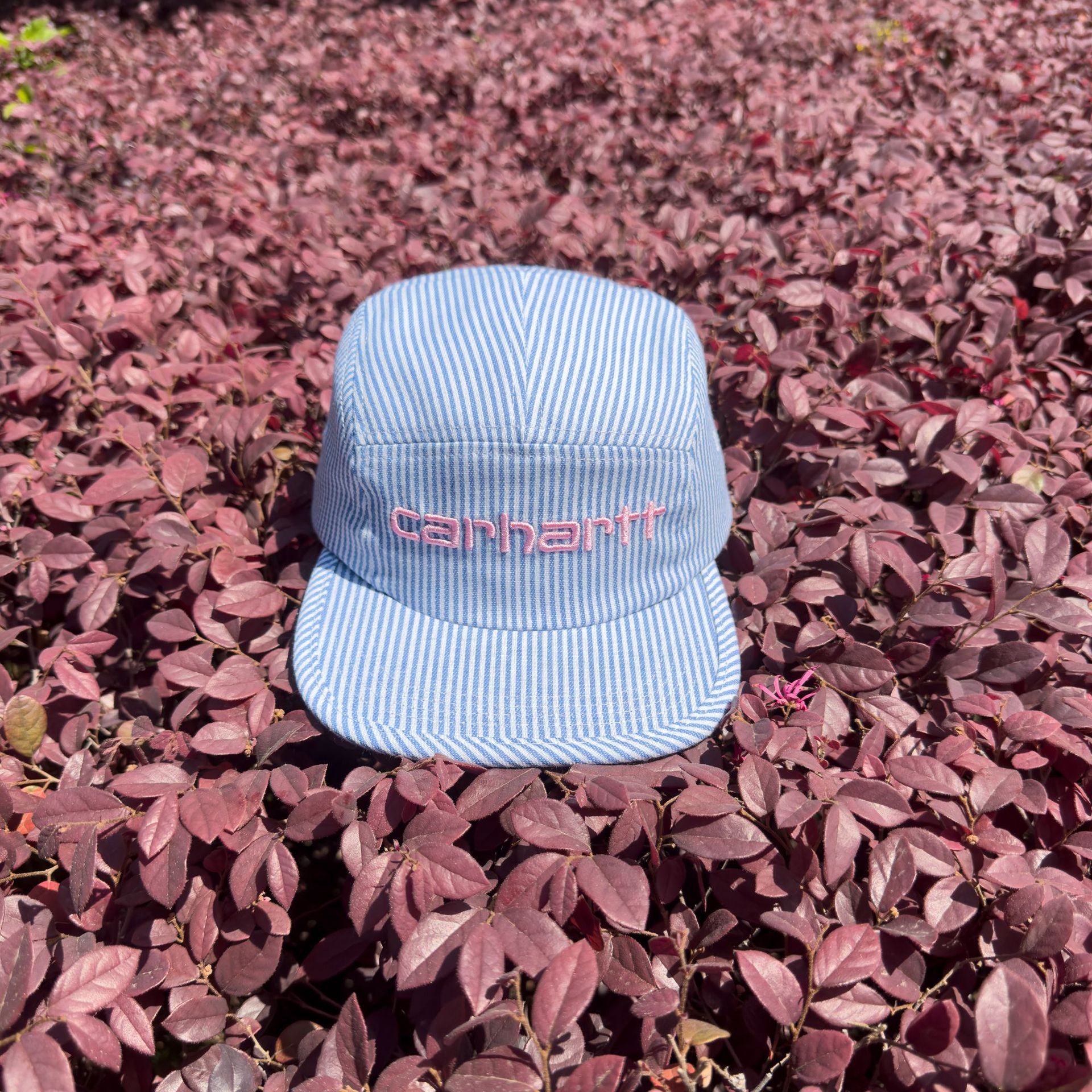 Carhartt-rosa bordado azul