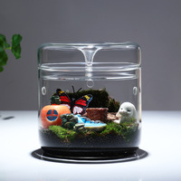 Collection de fabricants : Terrariums de bureau en verre Hejian faits à la main, coupes ouvertes, vases pour l'observation des plantes, transparents et réfléchissants la lumière