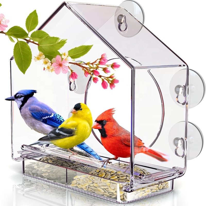 Picture of How to Choose the Best Acrylic Bird Cage: A Complete Buying Guide
