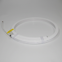 Tira de Neón de Silicona de Alta Luminosidad 1616, IP67 Impermeable, Iluminación Decorativa Lineal, Tira LED de Alta Transmitancia de Luz