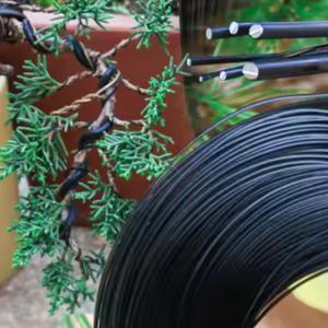 Diy Craft <span class=keywords><strong>alambre</strong></span> <span class=keywords><strong>de</strong></span> <span class=keywords><strong>aluminio</strong></span> 1mm 2mm 3mm artesanías suaves <span class=keywords><strong>anodizado</strong></span> bonsái <span class=keywords><strong>Alambre</strong></span> <span class=keywords><strong>de</strong></span> entrenamiento joyería <span class=keywords><strong>alambre</strong></span> - Product Image 5