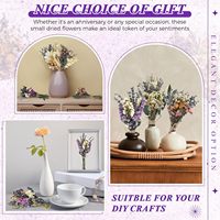 Buket Bunga Kering Boho Buatan Tangan DIY Dekorasi Pernikahan & Ulang Tahun Kerajinan Vas Mini Hadiah Pengiring Pengantin (Romantis)