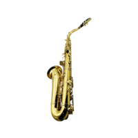SEASOUND OEM High Quality Cheap Gold BB Tenor Saxophone Woodwind Instrument with Brass Body Adjustable Features JYTS103