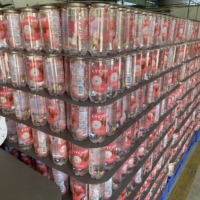 Boisson fruitée gazeuse aromatisée à la lychee, best-seller, 350 ml, canette PET, sans aspartame, fabricant OEM
