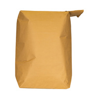 Sac de valve en papier kraft respectueux de l'environnement et durable 25KG 20KG 50kg pour poudre de mortier de plâtre de gypse d'argile de ciment
