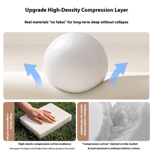 Oem Odm <b>Memory</b> <b>Foam</b> Cooling Medium Mattress Cover Soft <b>Cushion</b> for Hotel Dormitory Student Bed <b>Foam</b> Mattress Cover - Product Image 4