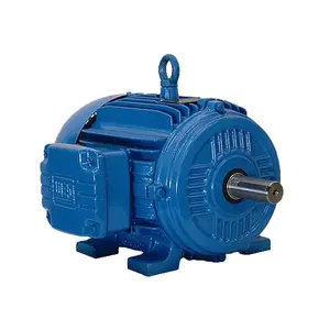 Y180M-2 Motor listrik 22kW IP54/55 380 Volt AC elektrik Motor induksi asinkron