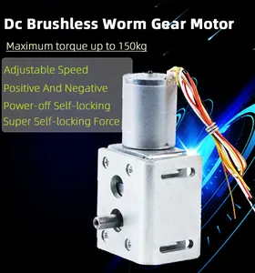 Faradyi 12v 24v 100w Dc Small Mini Worm Gear Hight Torque Motor Slow Speed Rpm Flat Worm Gear Motor