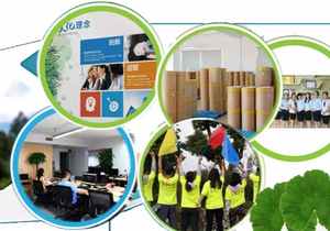 Bán buôn giá tốt nhất số lượng lớn Hữu Cơ tinh khiết <span class=keywords><strong>Moringa</strong></span> lá chiết xuất bột cao cấp <span class=keywords><strong>Moringa</strong></span> bột - Product Image 5