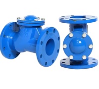 Clapet anti-retour à bride en fonte ductile DN40, raccordement PN16 pour conduites d'eau et d'eaux usées. Vente en gros d'usine, personnalisation disponible.