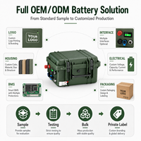 Stations d'alimentation portables de haute qualité, batterie LiFePo4, pack de batteries 12V 24V 100Ah 200Ah, batterie au lithium rechargeable pour le stockage d'énergie, pour camping-car