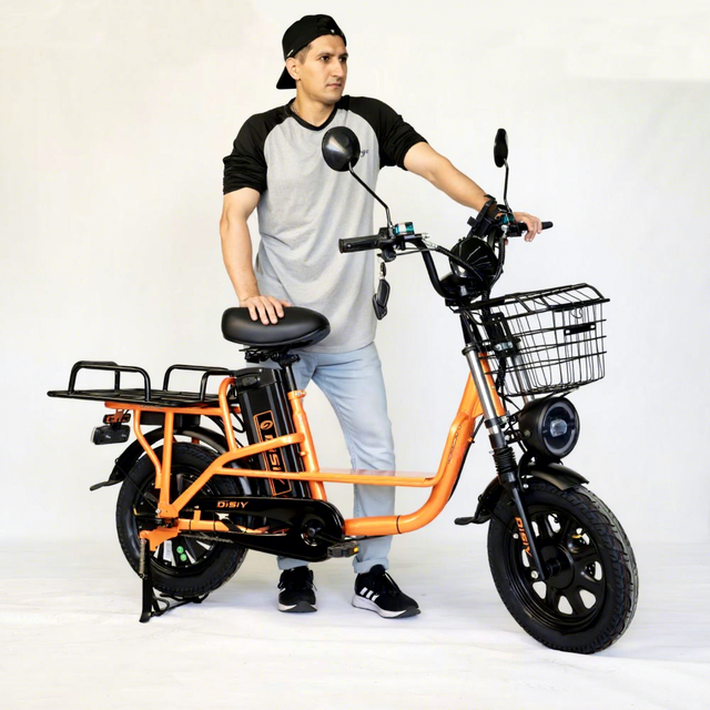 Digital Smart 20inch 48V 1000W Wide Wheel Snow 25KM Electronic Liming Monster 1000W Electric Bike