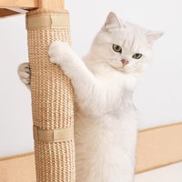 Vente directe d'usine de protège-pieds de table à manger multi-tailles, résistants à l'usure et anti-peluches, en sisal naturel pour chat