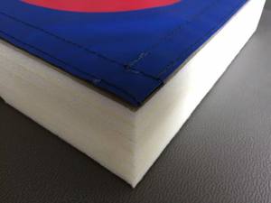 Tappeto da Lotta 12m e Attrezzatura per Arti Marziali con Copertura in Offerta - Product Image 6