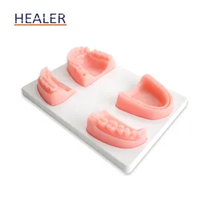 Almohadilla de entrenamiento de sutura Dental, modelo de piel de práctica de sutura Oral, modelos de práctica de sutura de dientes escolares de odontología