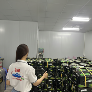 Limes sans pépins de qualité d'exportation vietnamienne couleur verte fraîche, parfumée et pleine de jus piquant - Product Image 1