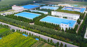 Оптовая продажа, чистый экстракт сои, порошок фосфатидилсерина, 20% 50%, 70% концентрация, 100% белок, активный ингредиент - Product Image 3