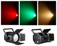 Professionnel haute puissance LED COB PAR lumière 200W RGBWA 5IN 1 LED Par visage lumière Studio projecteur