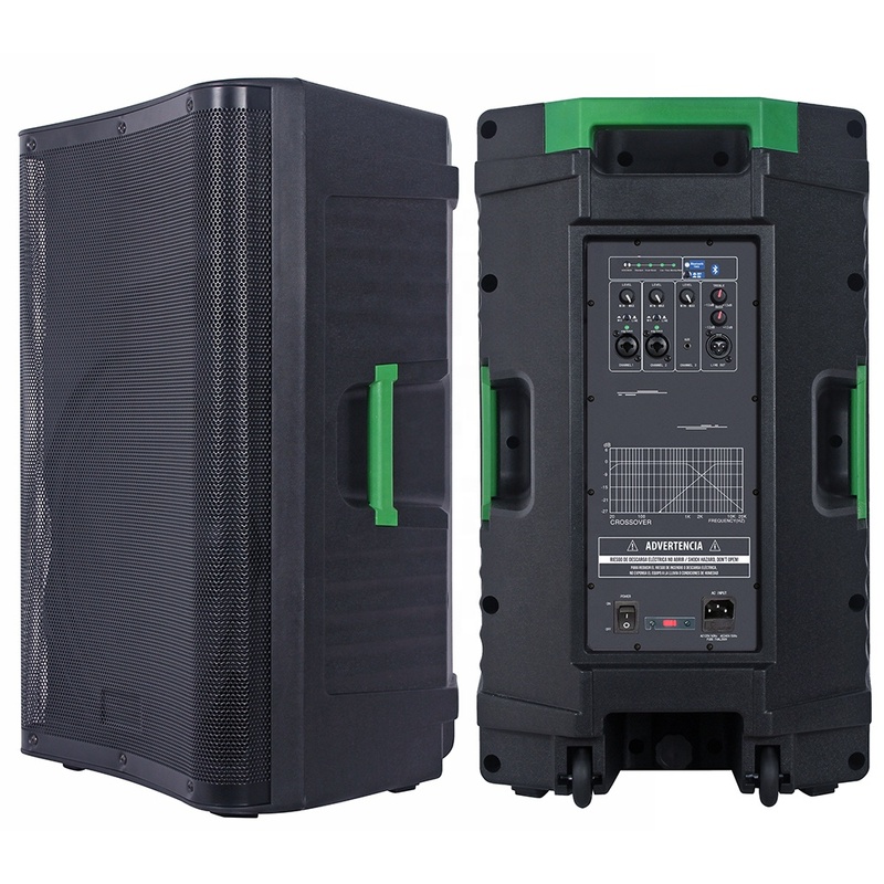 Professional Audio 1200W 15 Subwoofer Wood