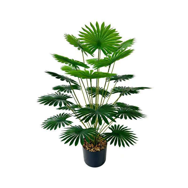 Palmier éventail à 24 têtes 80cm