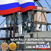 Usine de granulés d'aliments pour animaux RICHI 10000 kg/h - Formation gratuite Équipement de moulin à granulés d'aliments pour animaux Russie Ligne de production de granulés d'aliments pour animaux